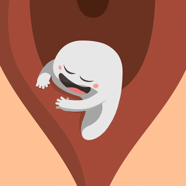 29305cd52081f234-_SPERN_600