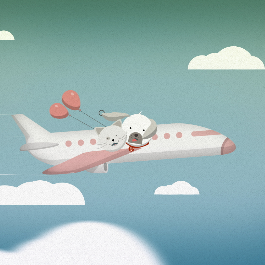 Santa Paws & Santa Claws – vacation by plane